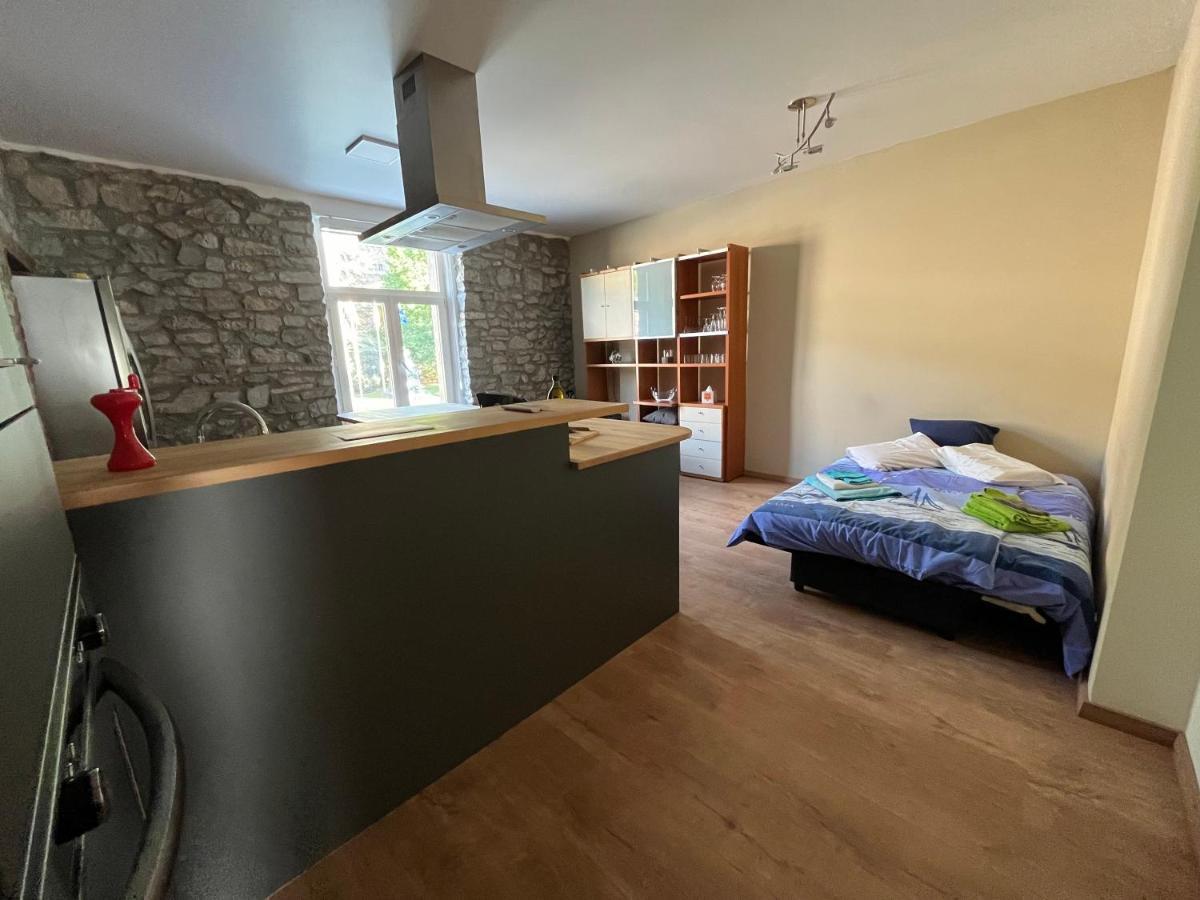 Aux Loups Blancs - Appartement Namur Luaran gambar