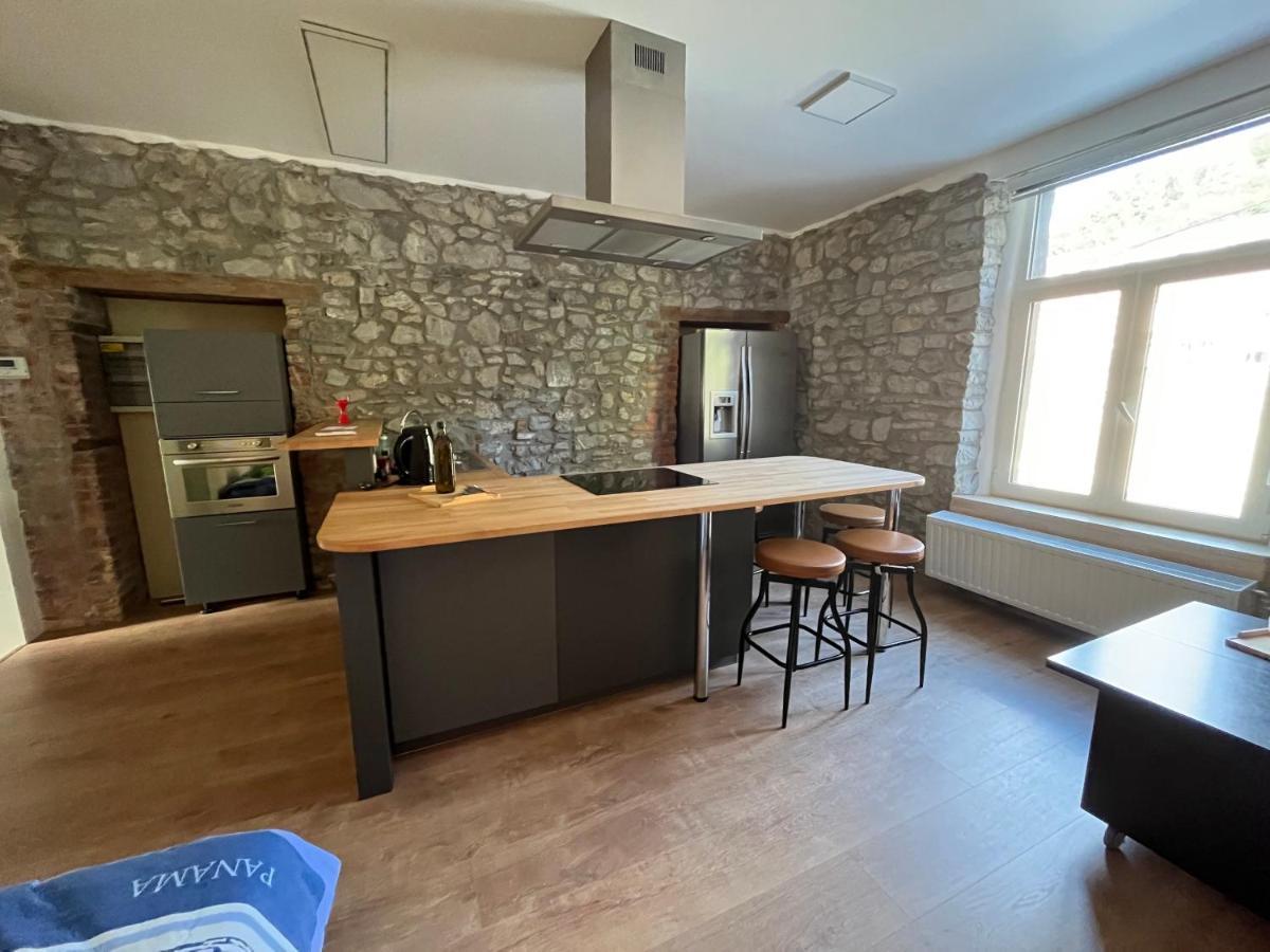 Aux Loups Blancs - Appartement Namur Luaran gambar